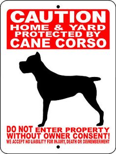 is cane corso a good guard dog